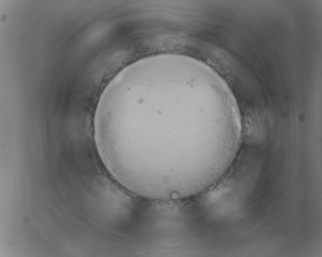 X0000067910820200604271915