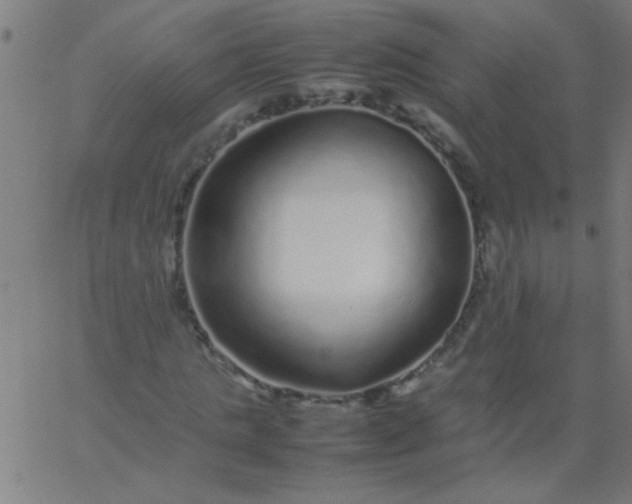 X0000067910821200604271915