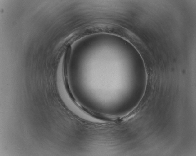 X0000067910822200604271915