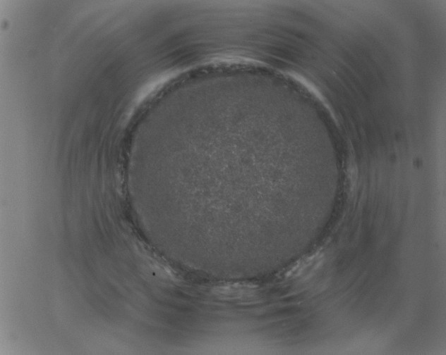 X0000067910823200604271915