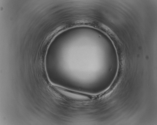 X0000067910825200604271915