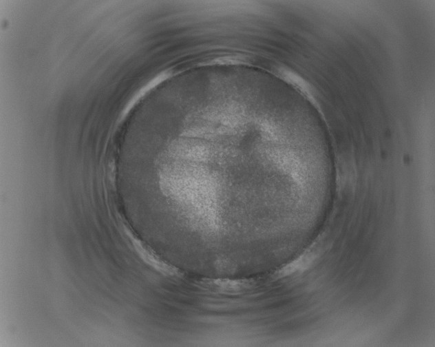 X0000067910827200604271915