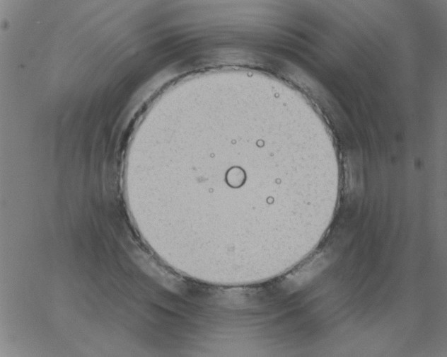 X0000067910828200604271915