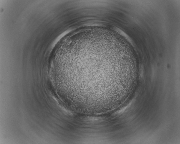 X0000067910829200604271915