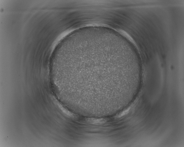 X0000067910831200604271915