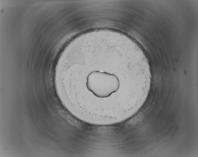 X0000067910832200604271915