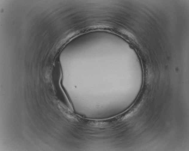 X0000067910833200604271915