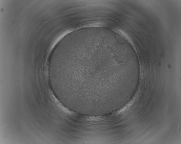 X0000067910835200604271916