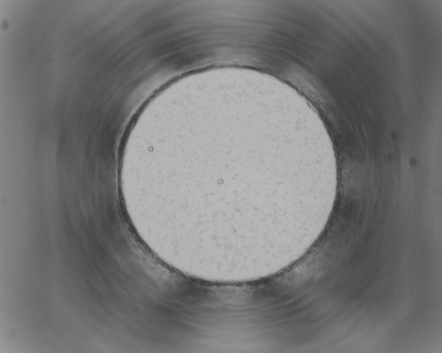 X0000067910836200604271916