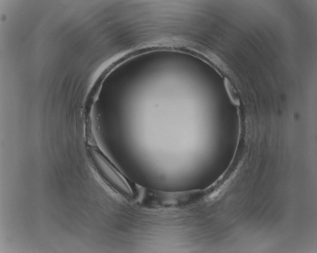 X0000067910838200604271916