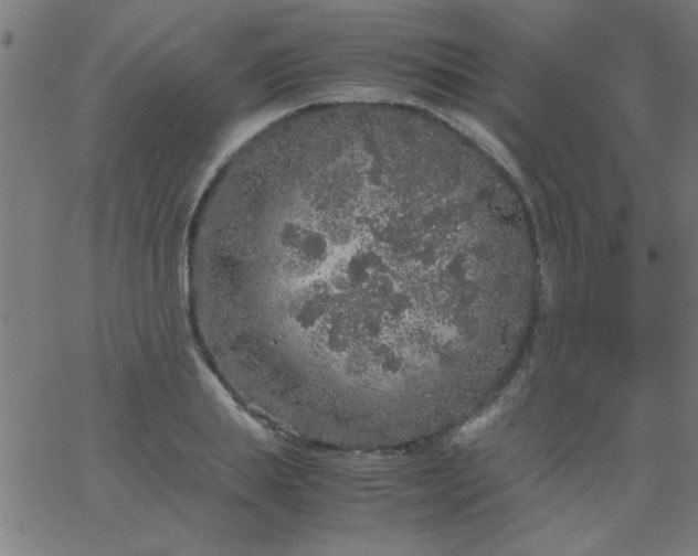 X0000067910839200604271916