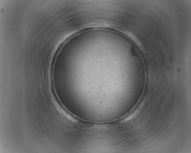 X0000067910840200604271916