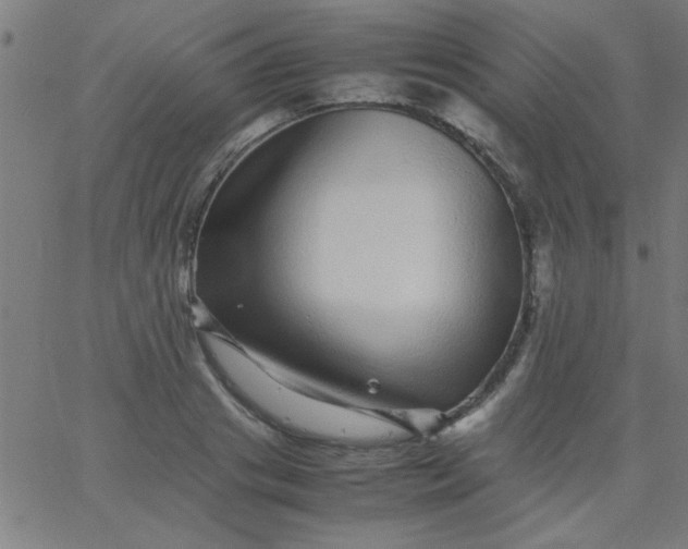 X0000067910841200604271916