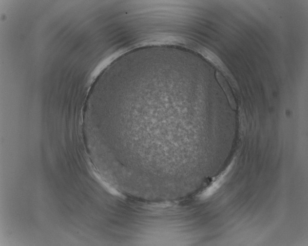 X0000067910842200604271916