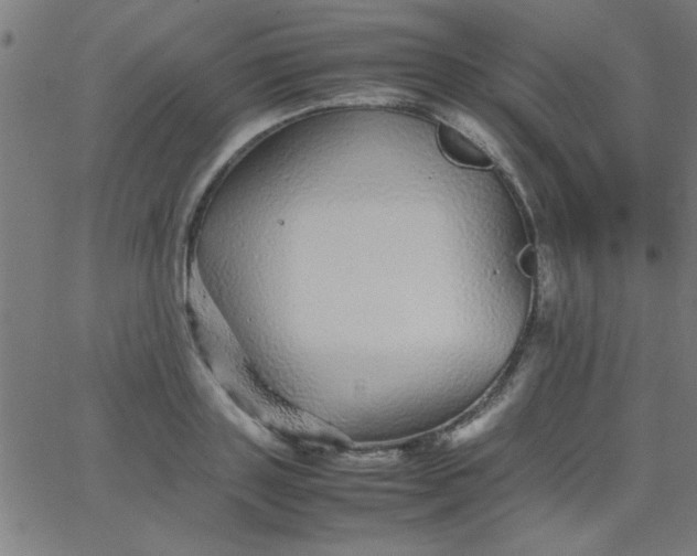 X0000067910843200604271916