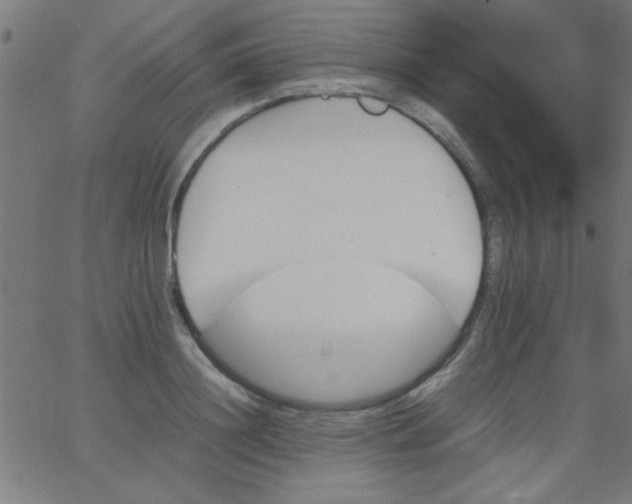 X0000067910844200604271916