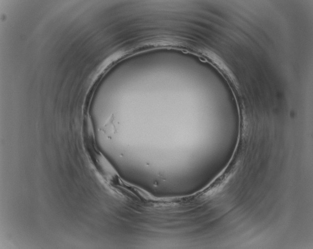 X0000067910845200604271916