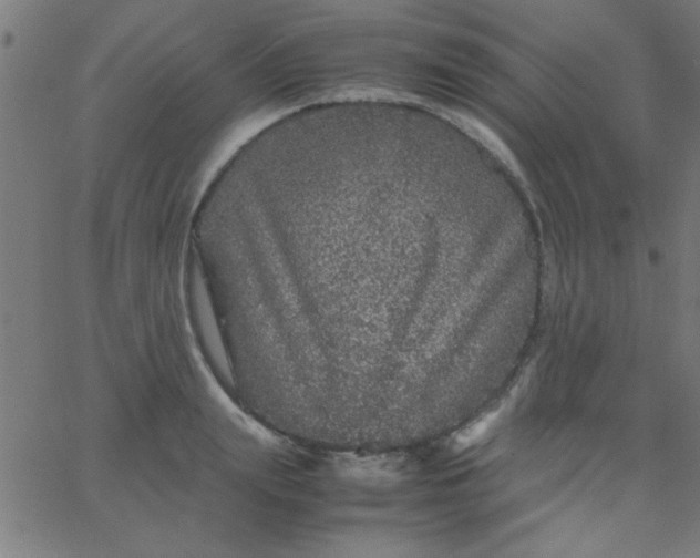 X0000067910847200604271916