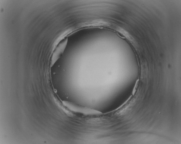 X0000067910850200604271916