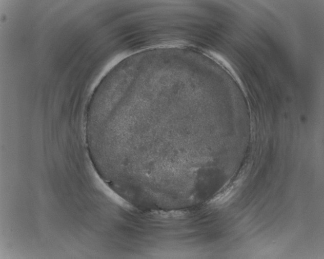 X0000067910851200604271916