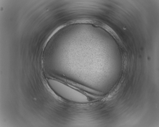 X0000067910852200604271916