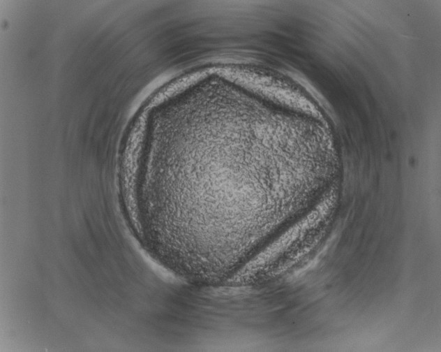 X0000067910853200604271916