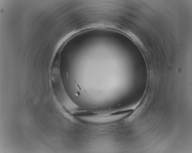 X0000067910854200604271916