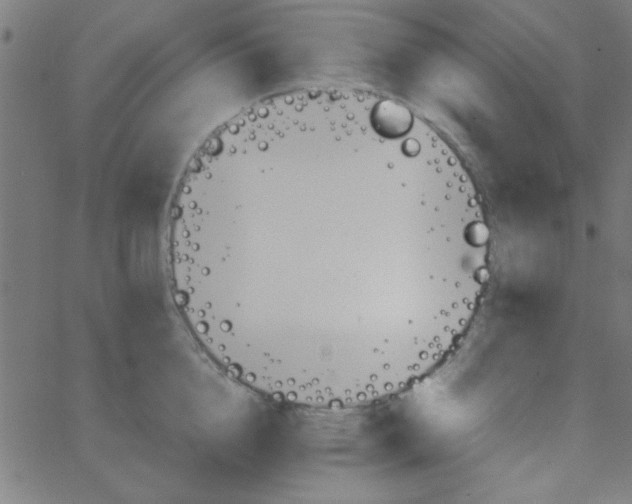 X0000067910856200604271916