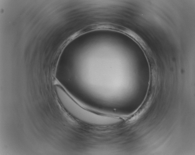 X0000067910857200604271916