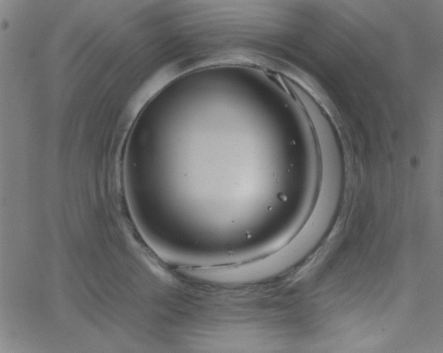 X0000067910858200604271916