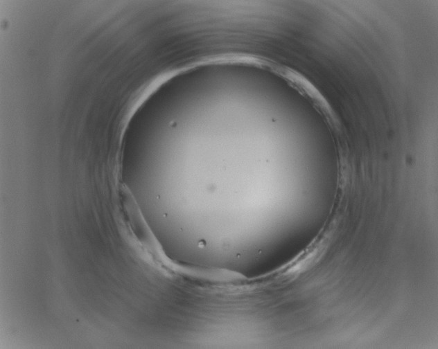 X0000067910860200604271916