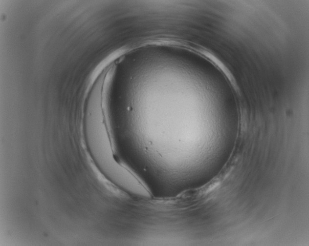 X0000067910861200604271916