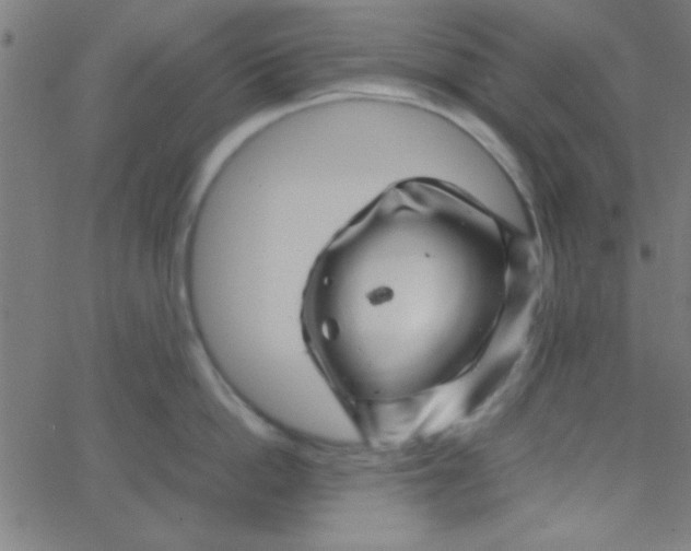 X0000067910862200604271916