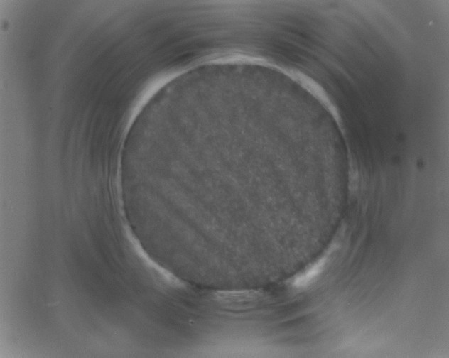 X0000067910863200604271916