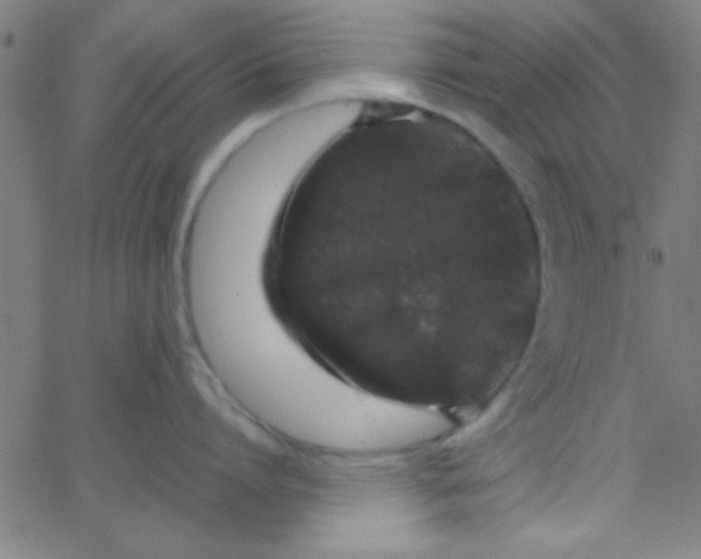 X0000067910864200604271916