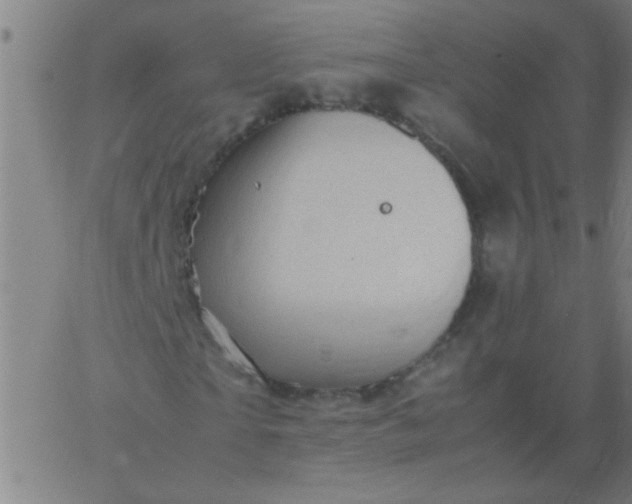 X0000067910865200604271915