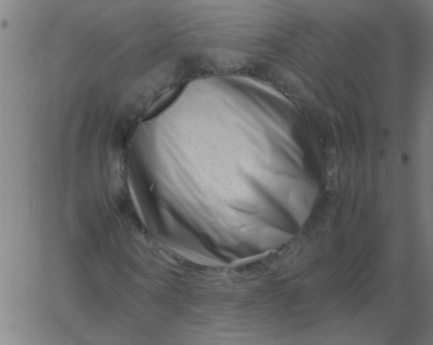 X0000067910866200604271915