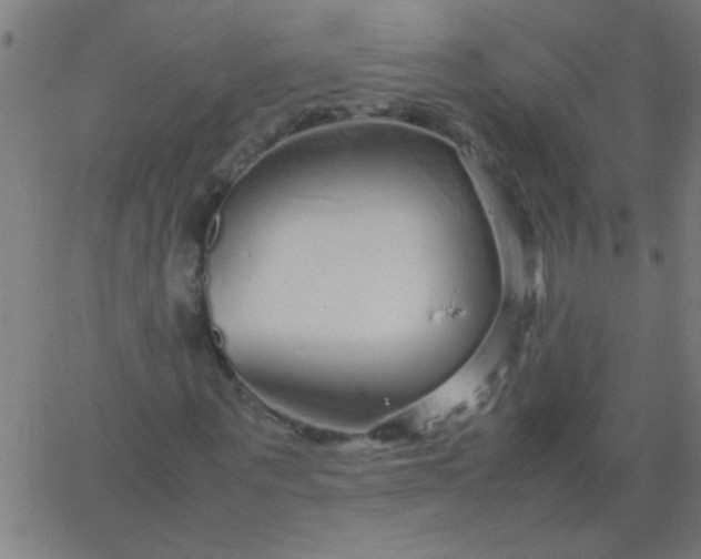 X0000067910867200604271915