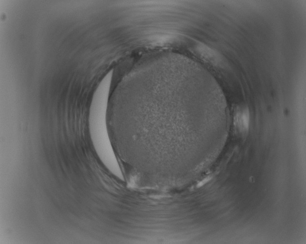 X0000067910868200604271915