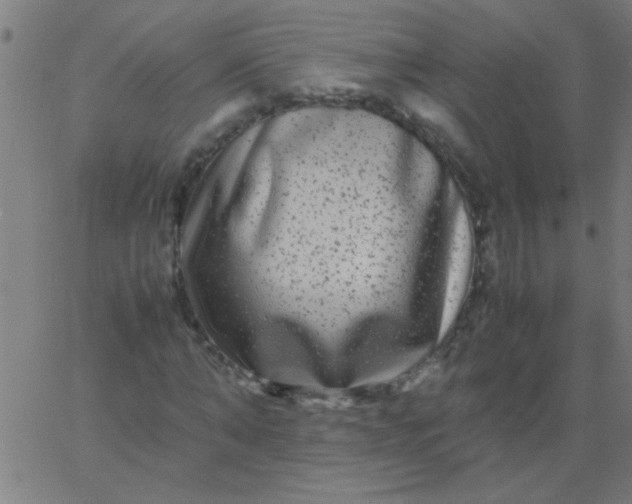 X0000067910870200604271915