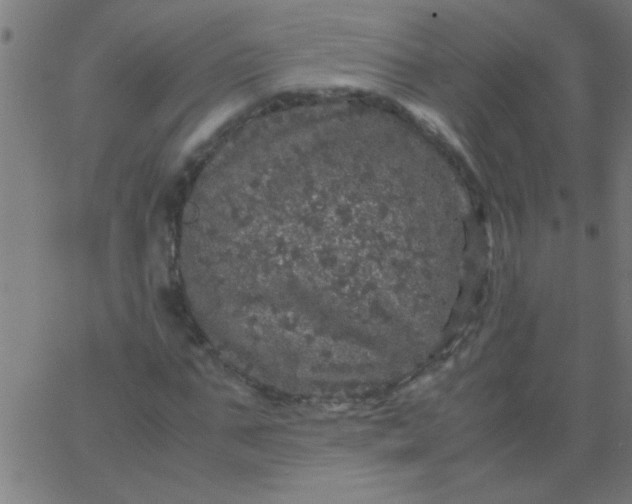 X0000067910871200604271915