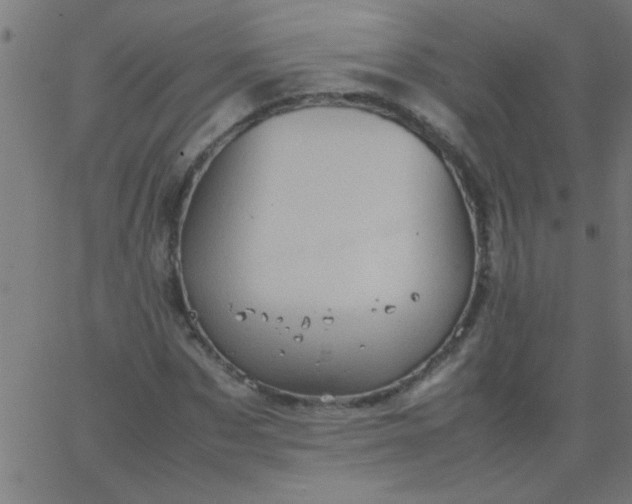 X0000067910873200604271915