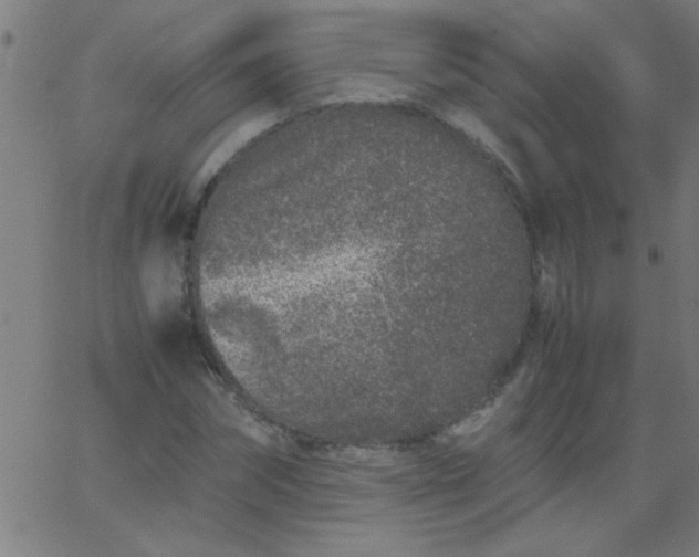 X0000067910874200604271915