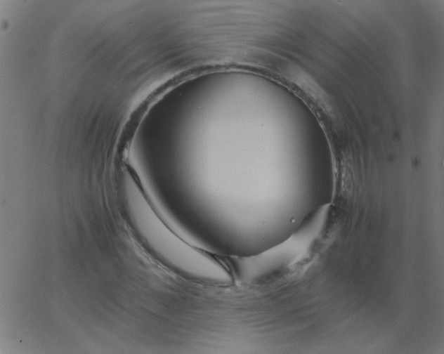 X0000067910876200604271915