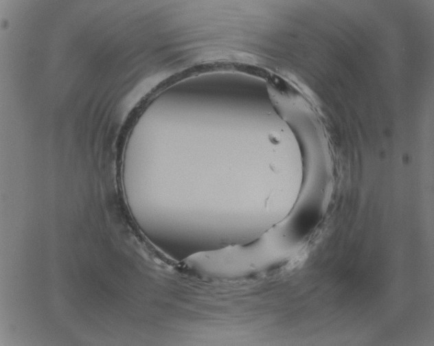 X0000067910877200604271915