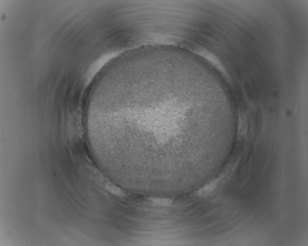 X0000067910878200604271915