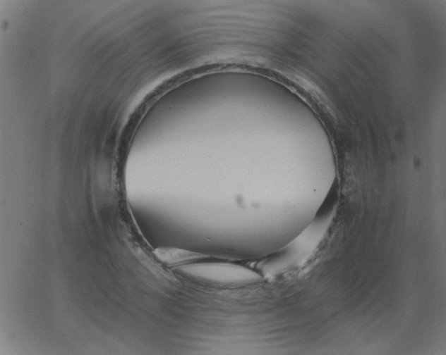 X0000067910880200604271915