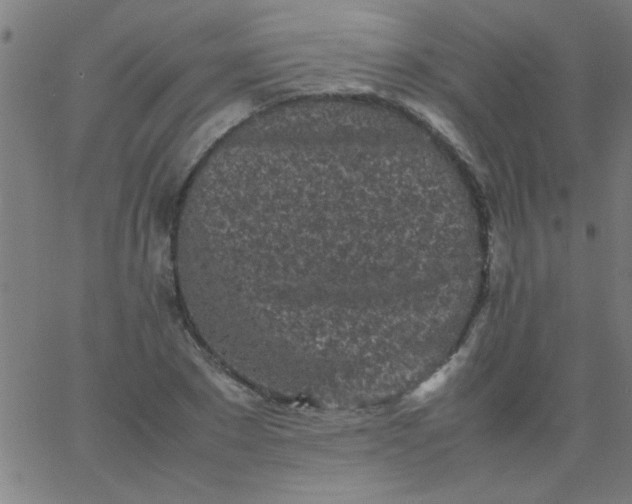 X0000067910881200604271915