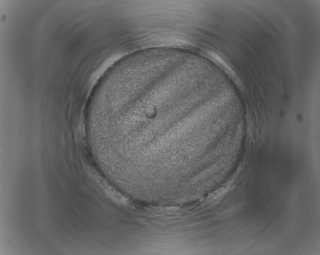 X0000067910883200604271915