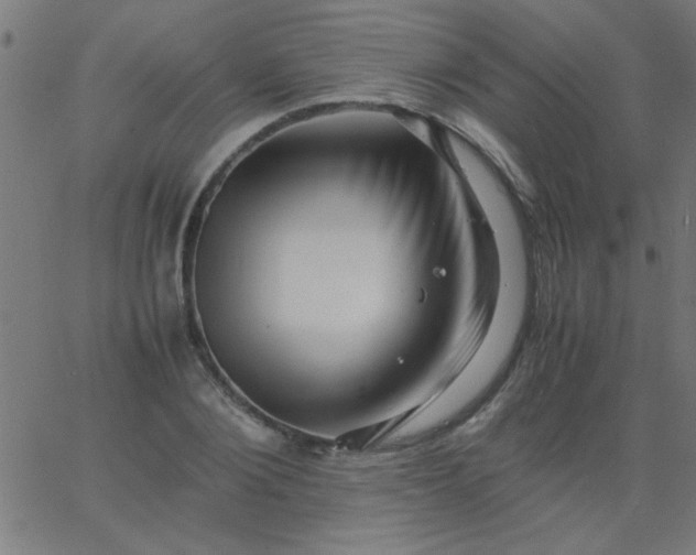 X0000067910884200604271915